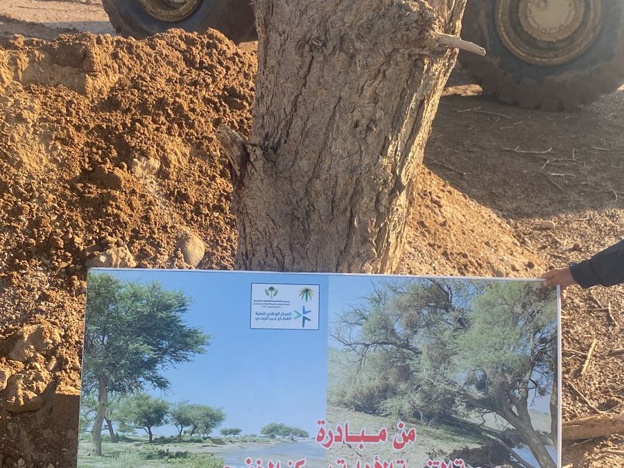 من مبادرة الجمعية بالمحافظة على الغطاع النباتي بالاودية والغابات